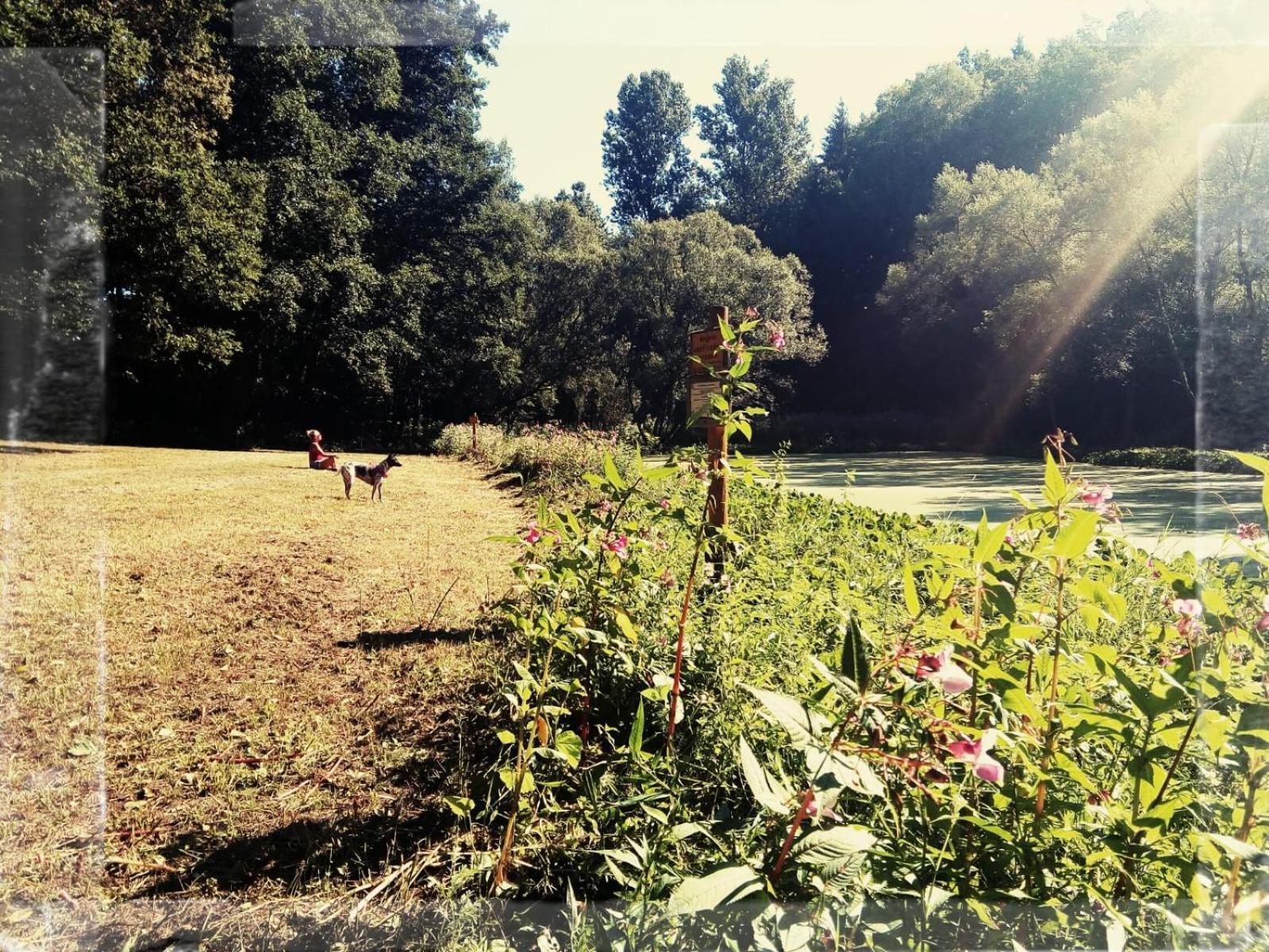 Sabine'S Wellnesslodge Ruppertsweiler エクステリア 写真